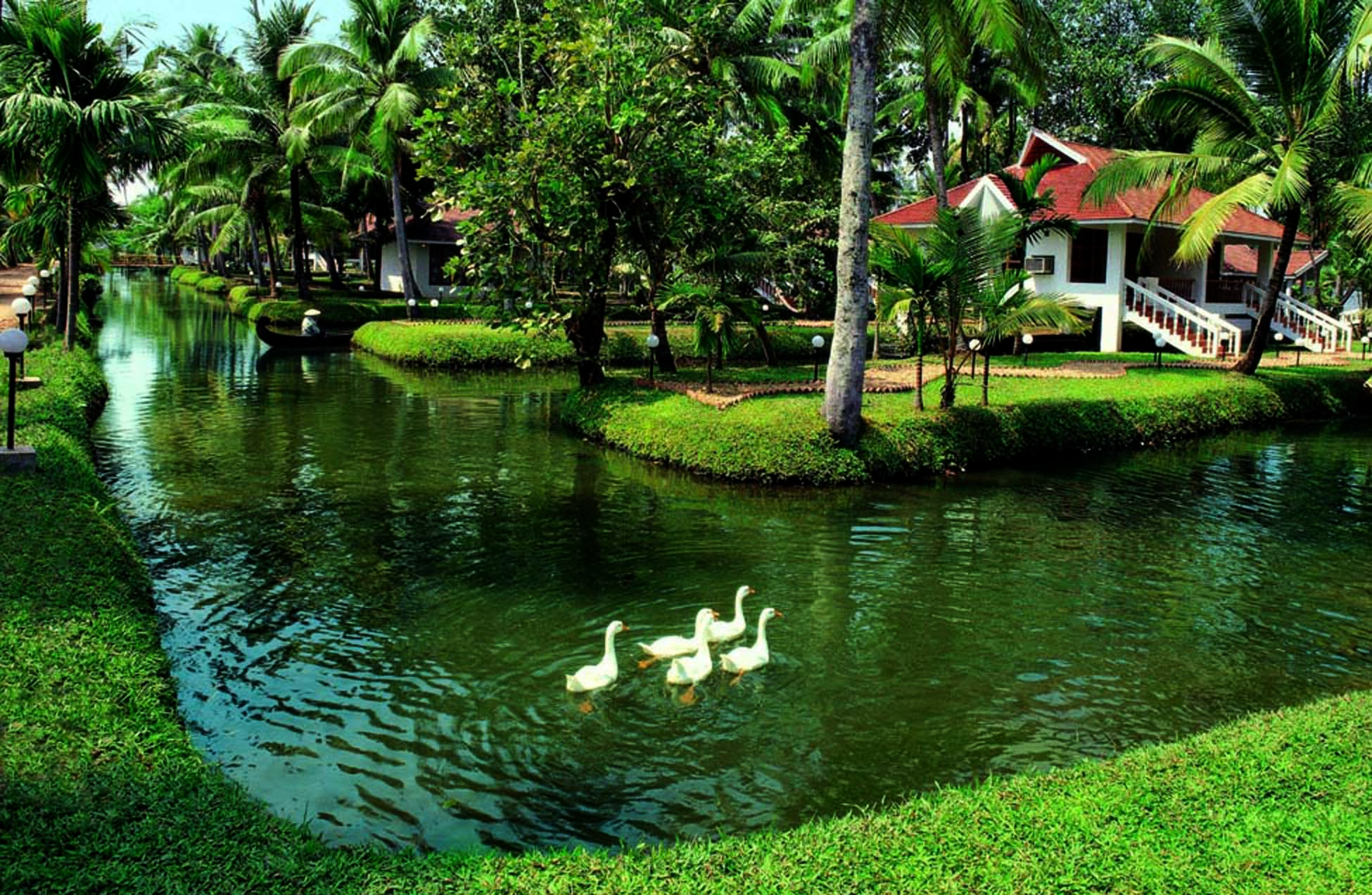 The private canal — white ducks, still green water, the cottages and backwaters beyond